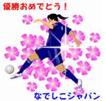 なでしこジャパン　nadesiko Japan